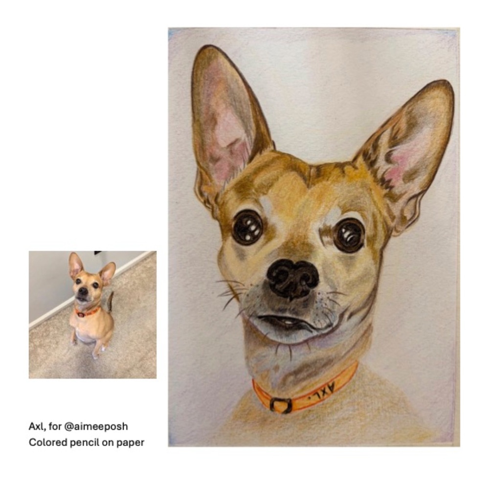 Custom Pet Portrait Commissions - Picture 5 of 7